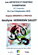 Salon des Peintres Champenois - Troyes, sept. 2018